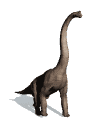 Dino thanks you for visiting.